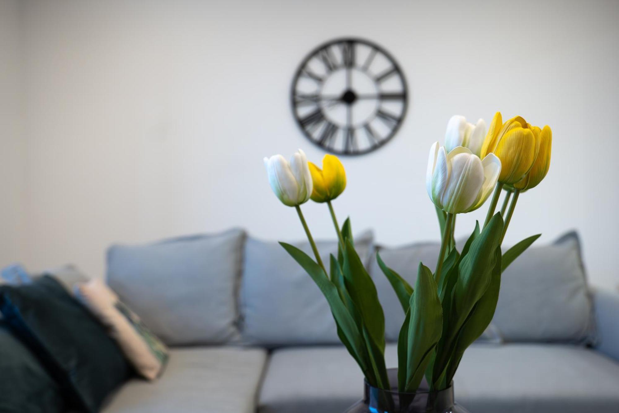 Apartament Gibi & Lumo Apartment's By Eldi